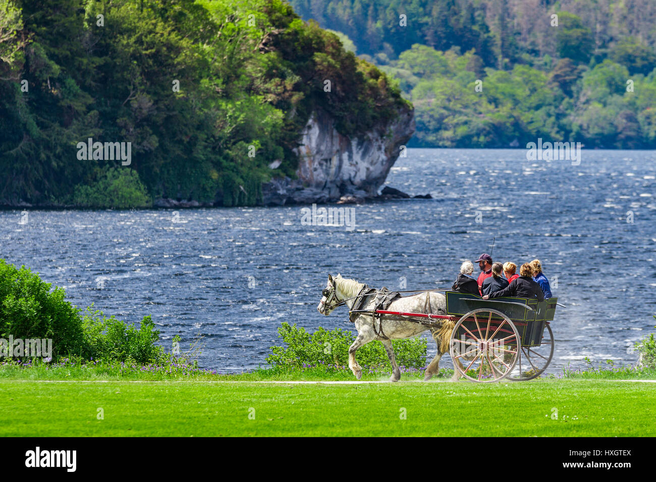 Killarney jaunting car hires stock photography and images Alamy