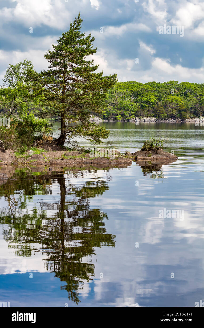 Muckross Lake, Killarney National Park, County Kerry, Ireland Stock Photo