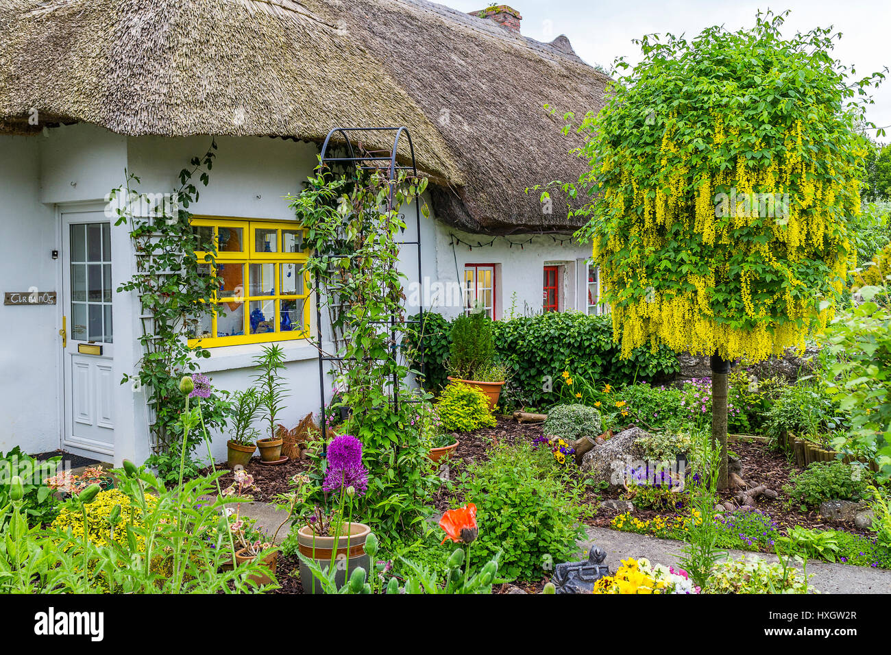 thatched cottage in village Adare, County Limerick, Ireland Stock Photo Alamy thatched cottage in village Adare, County Limerick, Ireland Stock Photo Alamy