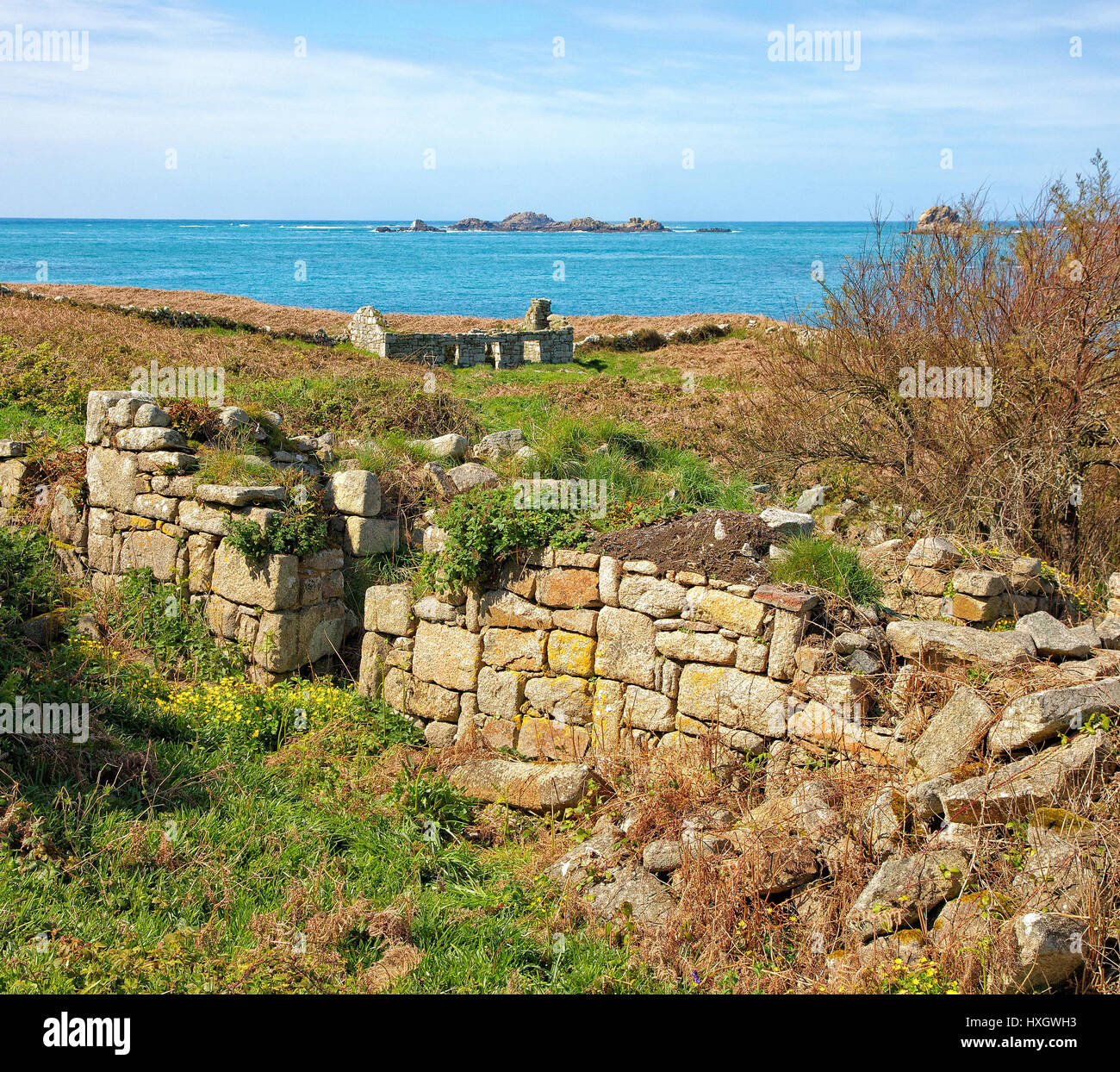 Ruined and deserted village on the now uninhabited island of Samson in the Isles of Scilly UK Stock Photo