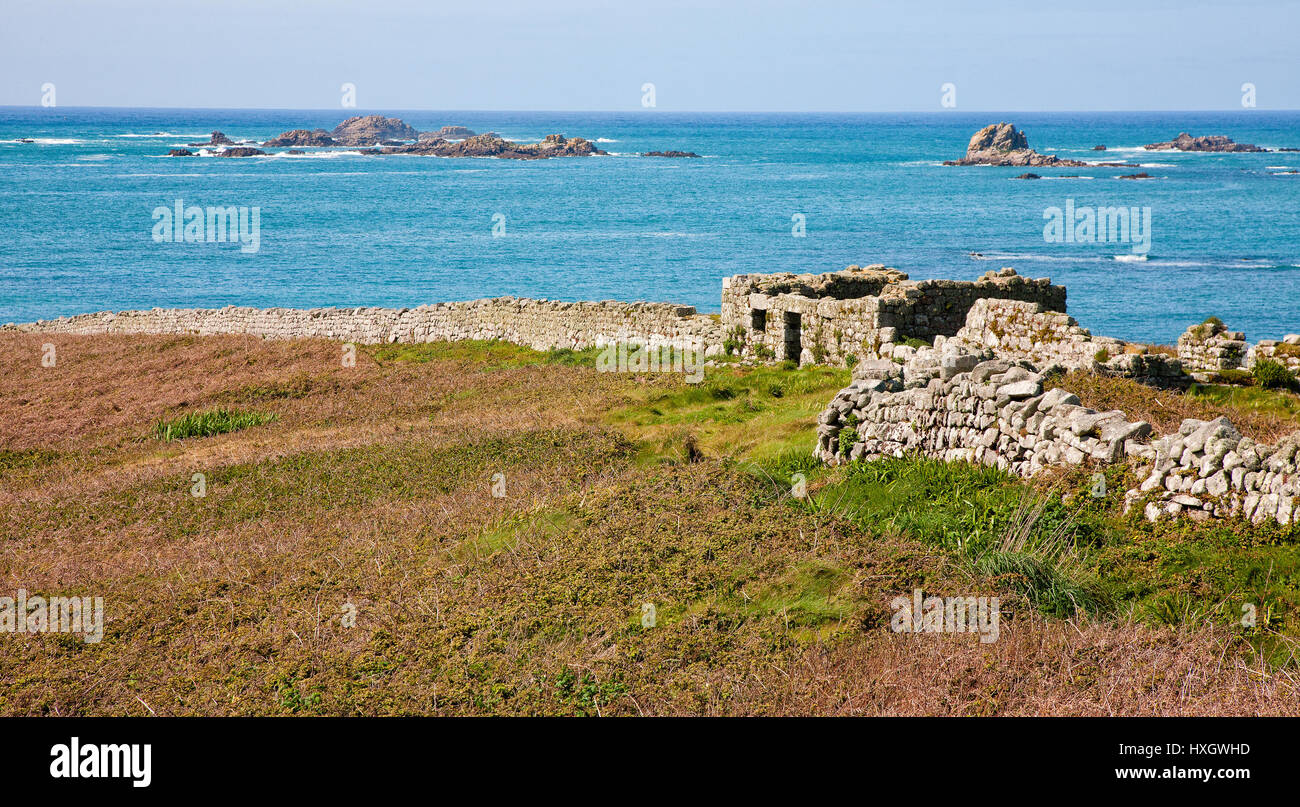 Ruined and deserted village on the now uninhabited island of Samson in the Isles of Scilly UK Stock Photo