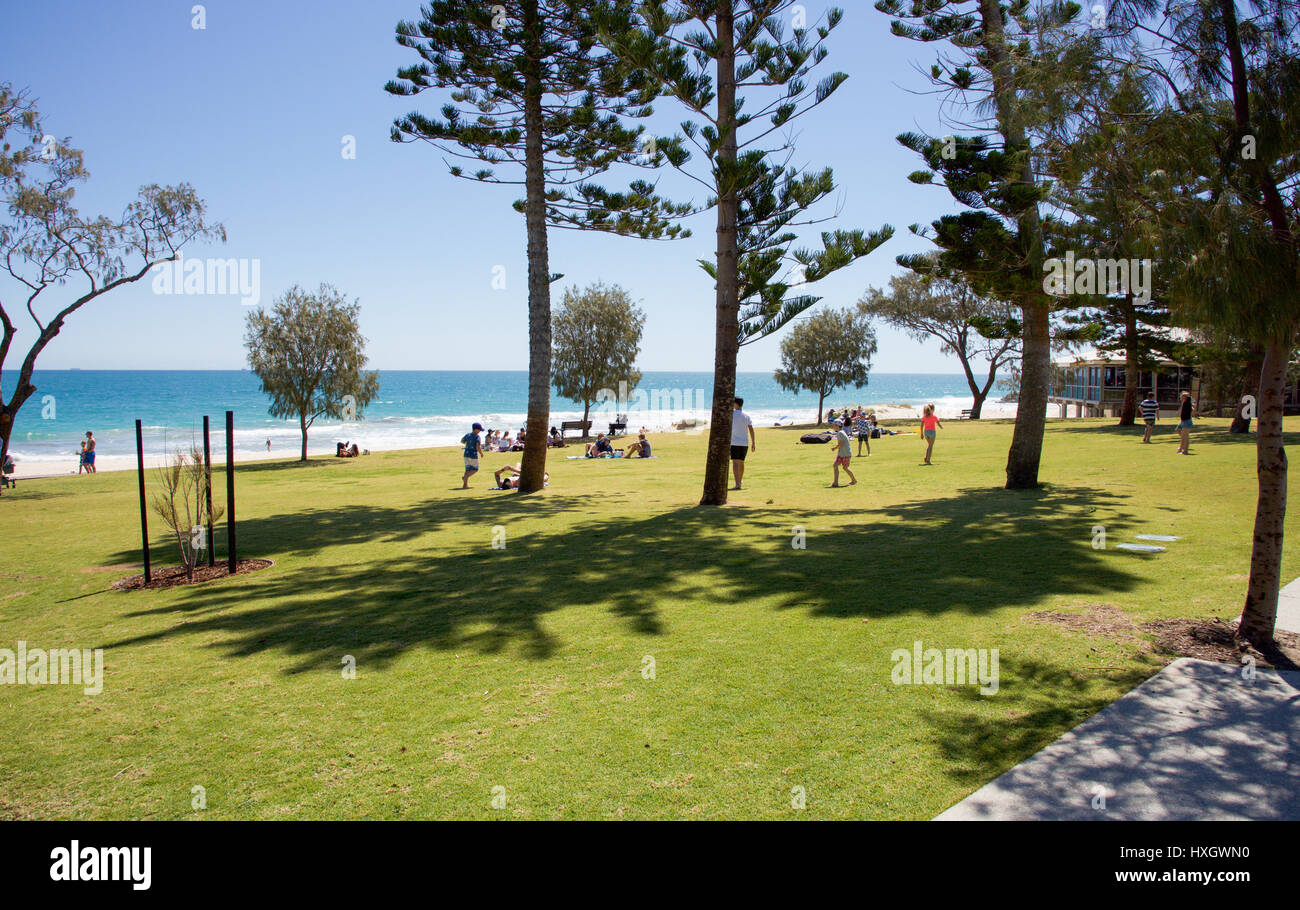 City Beach,WA,AustraliaOctober 5,2016Tourists on foreshore with tall Norfolk Pine trees and