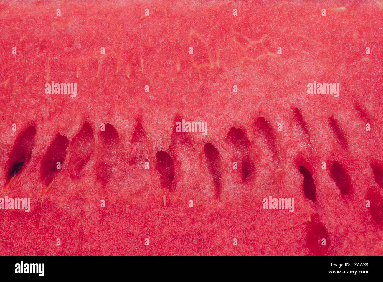 Watermelon Bottom Closeup of watermelon surface and background Stock Photo - Alamy