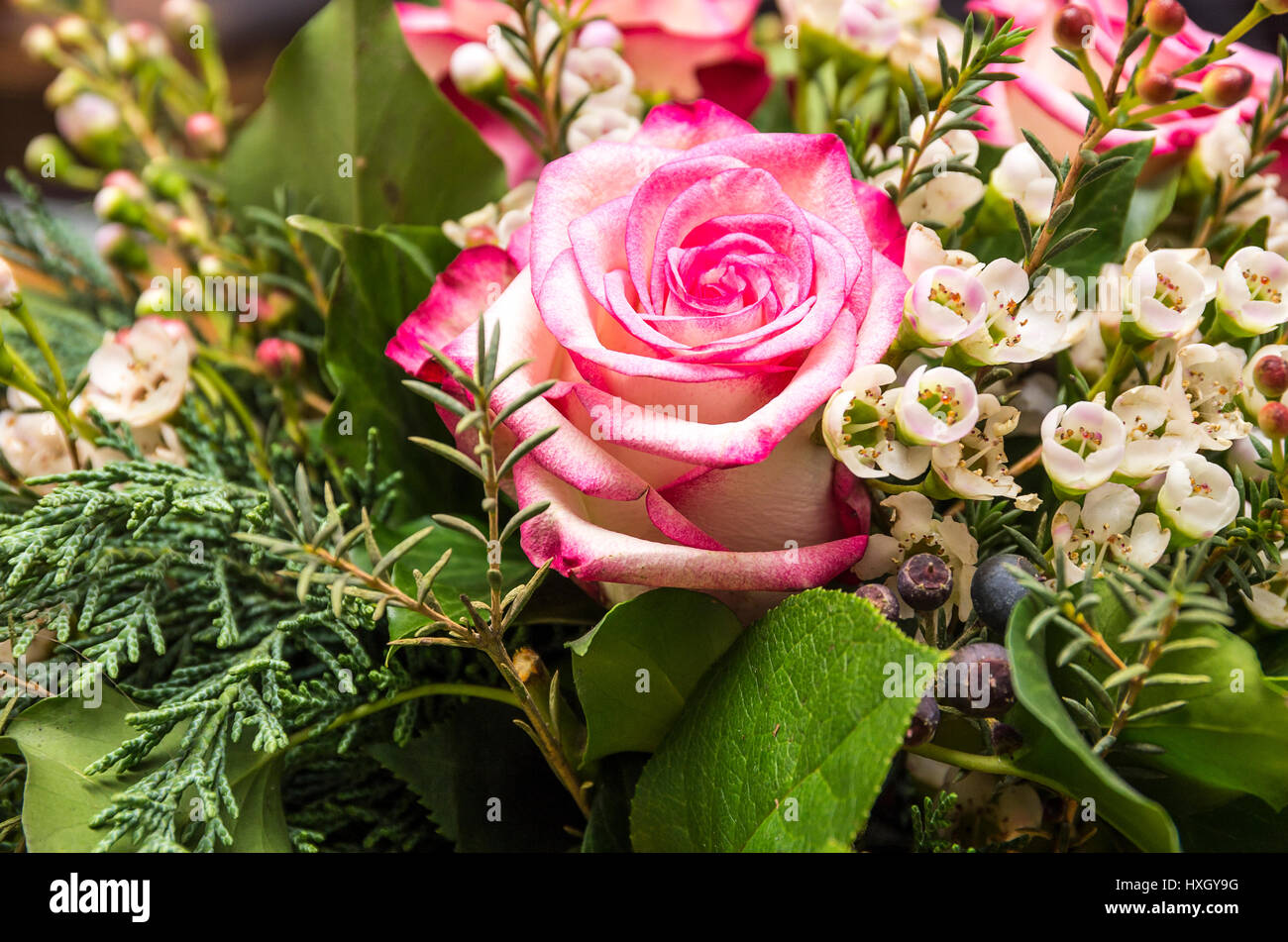 Bouquet cut roses hires stock photography and images Alamy