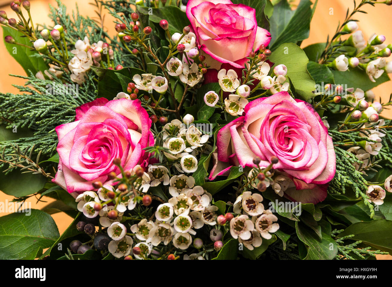 Cut flowers, bouquet of roses Stock Photo Alamy