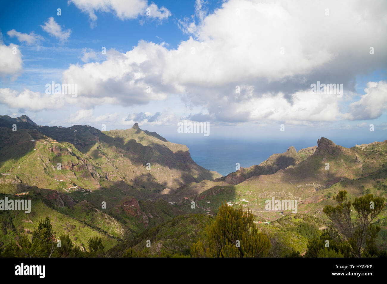 Afur Ravine on Tenerife, Canary Islands, Spain Stock Photo