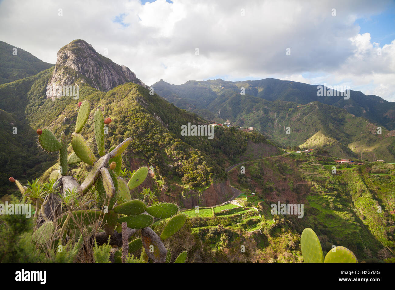 Afur Ravine on Tenerife, Canary Islands, Spain Stock Photo - Alamy