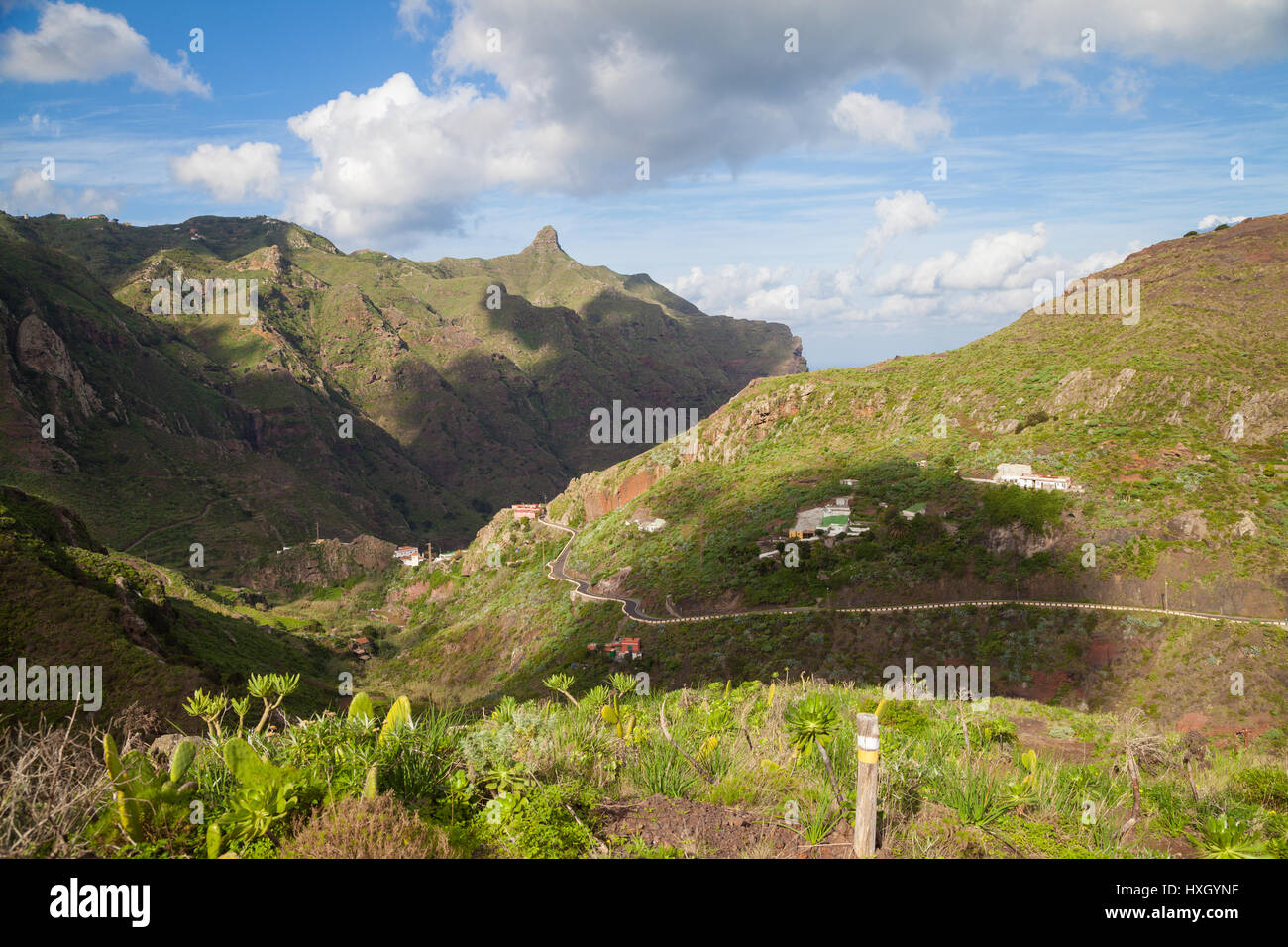 Afur Ravine on Tenerife, Canary Islands, Spain Stock Photo