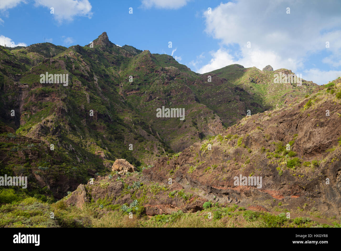 Afur Ravine on Tenerife, Canary Islands, Spain Stock Photo