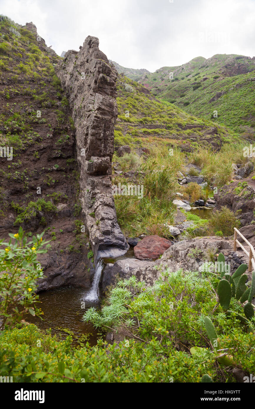 Afur Ravine on Tenerife, Canary Islands, Spain Stock Photo - Alamy