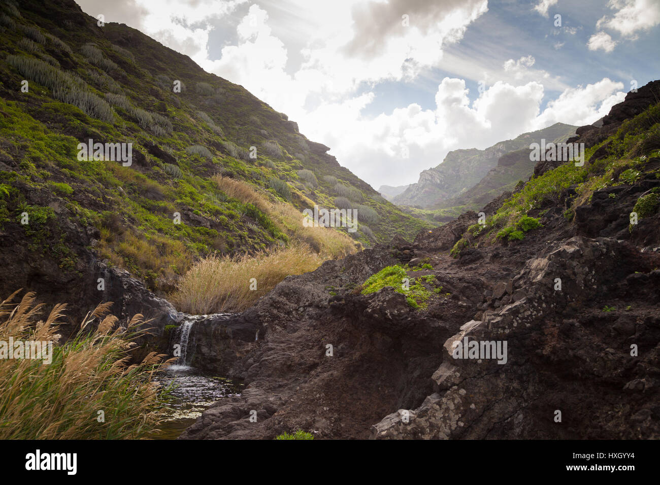 Valley near Afur, Barranco de Afur,Tenerife, Spain Stock Photo