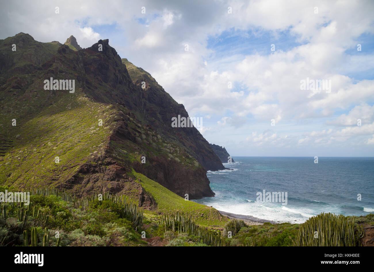 Afur tenerife hi-res stock photography and images - Alamy