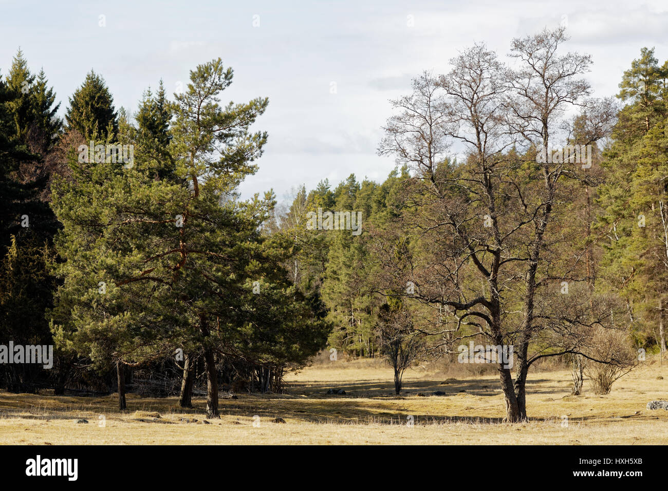 Countryside in Bogesundslandet, near Vaxholm, Sweden Stock Photo