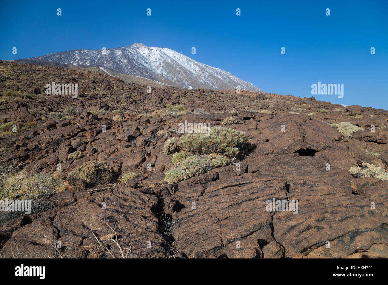Looking towards El Teide Volcano on the Island of Tenerife Stock Photo