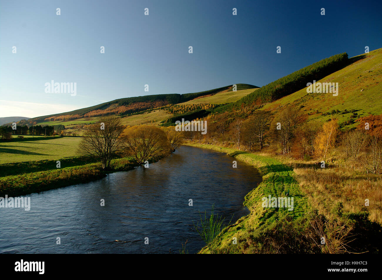 River Tweed at Selkirk, Scotland Stock Photo - Alamy