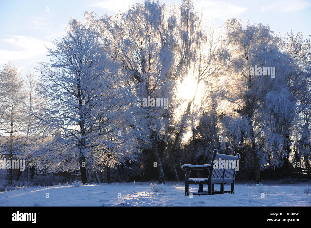 SNOW COVERED BENCH AND TREES WEST AYTON SCARBOROUG WEST AYTON SCARBOROUGH SCARBOROUGH NORTH YORKSHIRE ENGLAND 21 December 201 Stock Photo