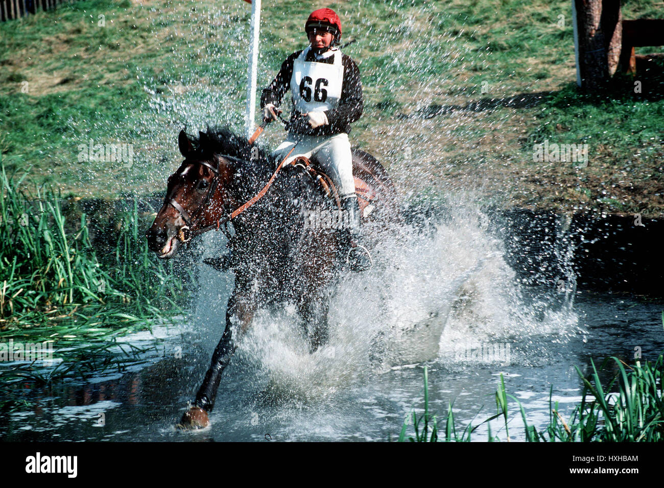 MRS. LIZ KERSHAW (THREE CUPS) BURLEIGH HORSE TRIALS 06 August 1980