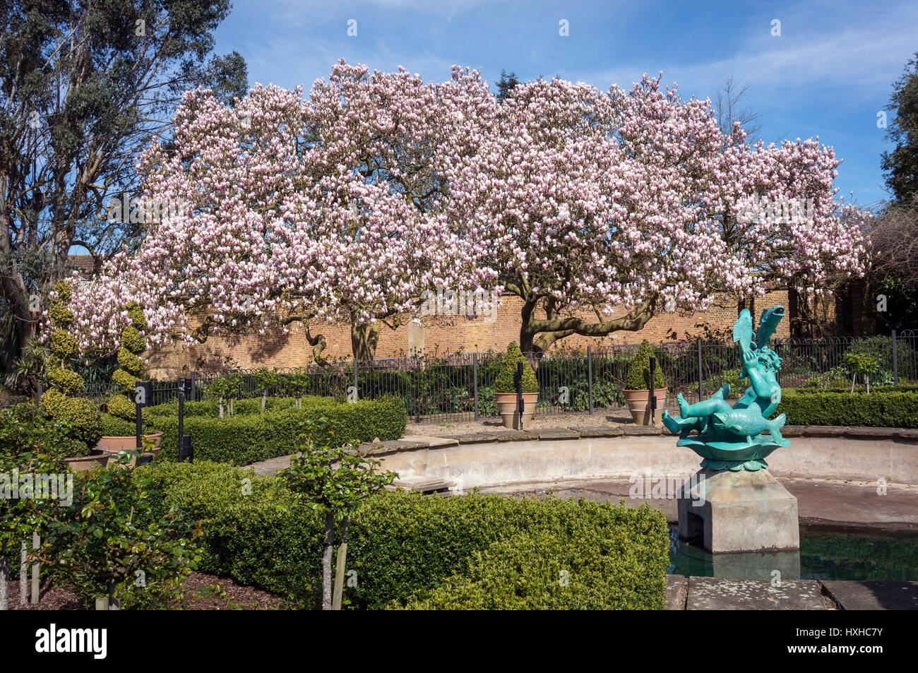 Trees in blossom in Golders Hill Park, North London, UK Stock Photo Alamy