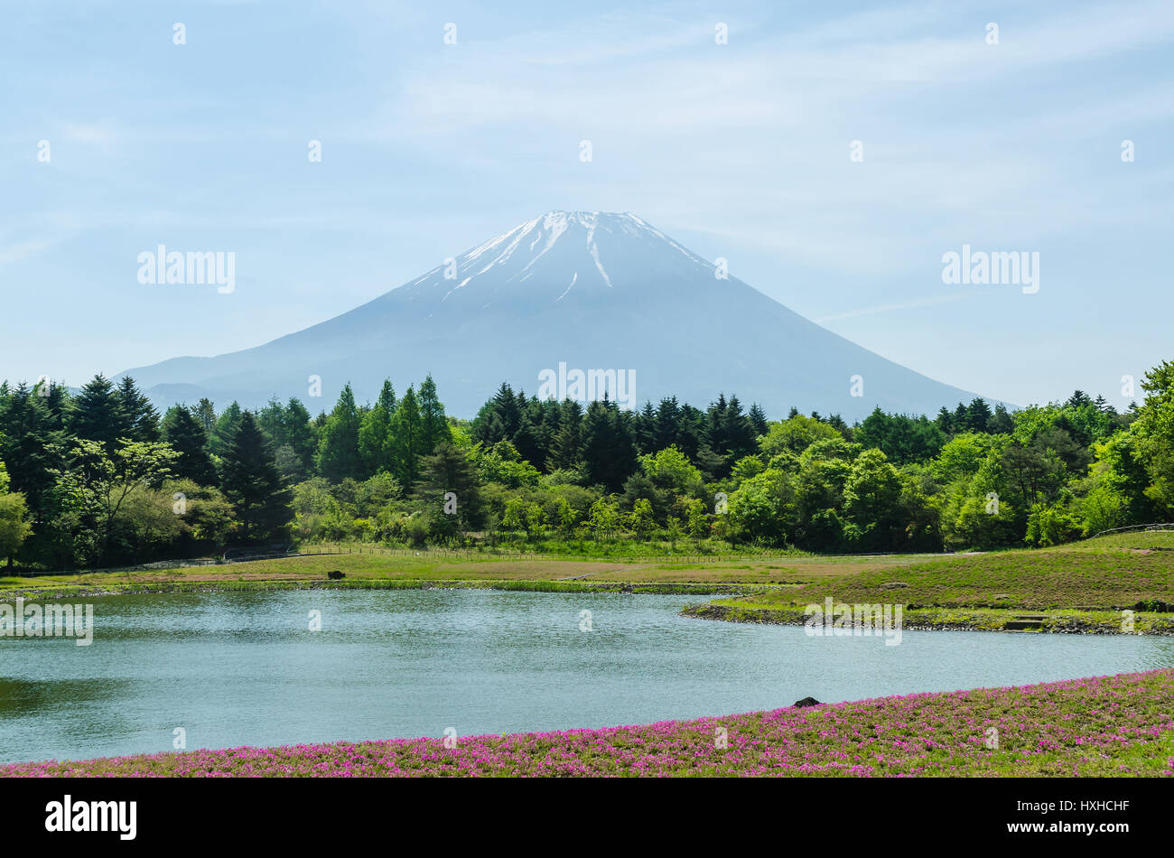Mount fuji and pink moss in may at japan ,selective focus blur foreground Stock Photo