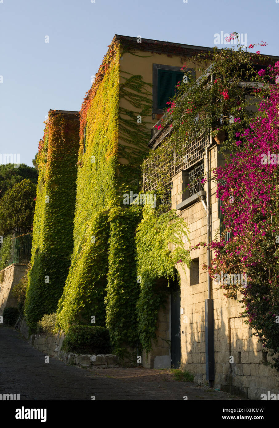 Gaiola wall hires stock photography and images Alamy