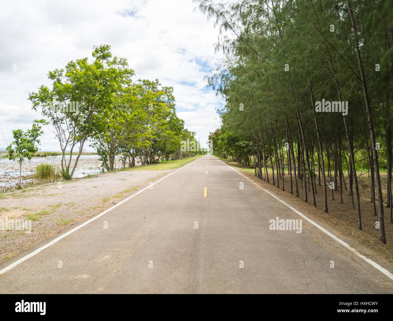 Empty road and tree in country of thailand Stock Photo