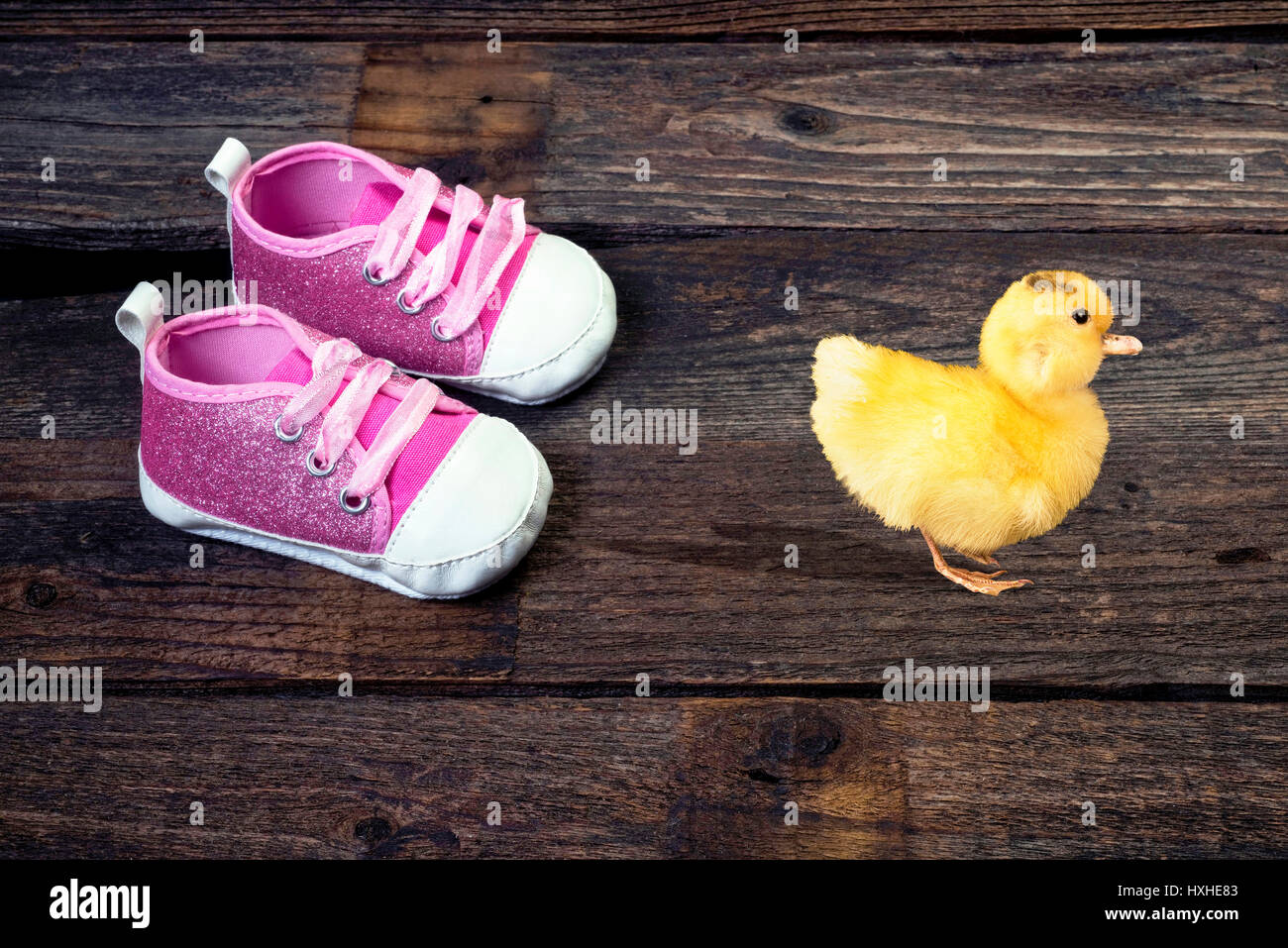 Pink baby shoes with cute baby ducky. Stock Photo