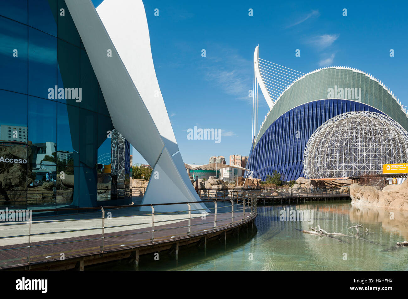 Oceanografic, The City of Arts and Sciences, Valencia, Spain, Europe Stock Photo