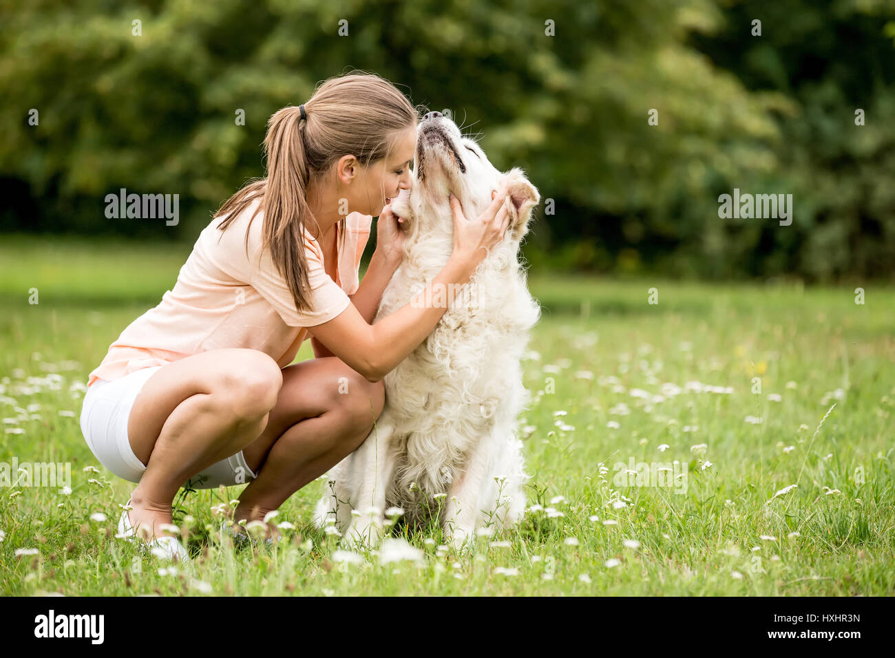Woman fondles dog at the park with love Stock Photo