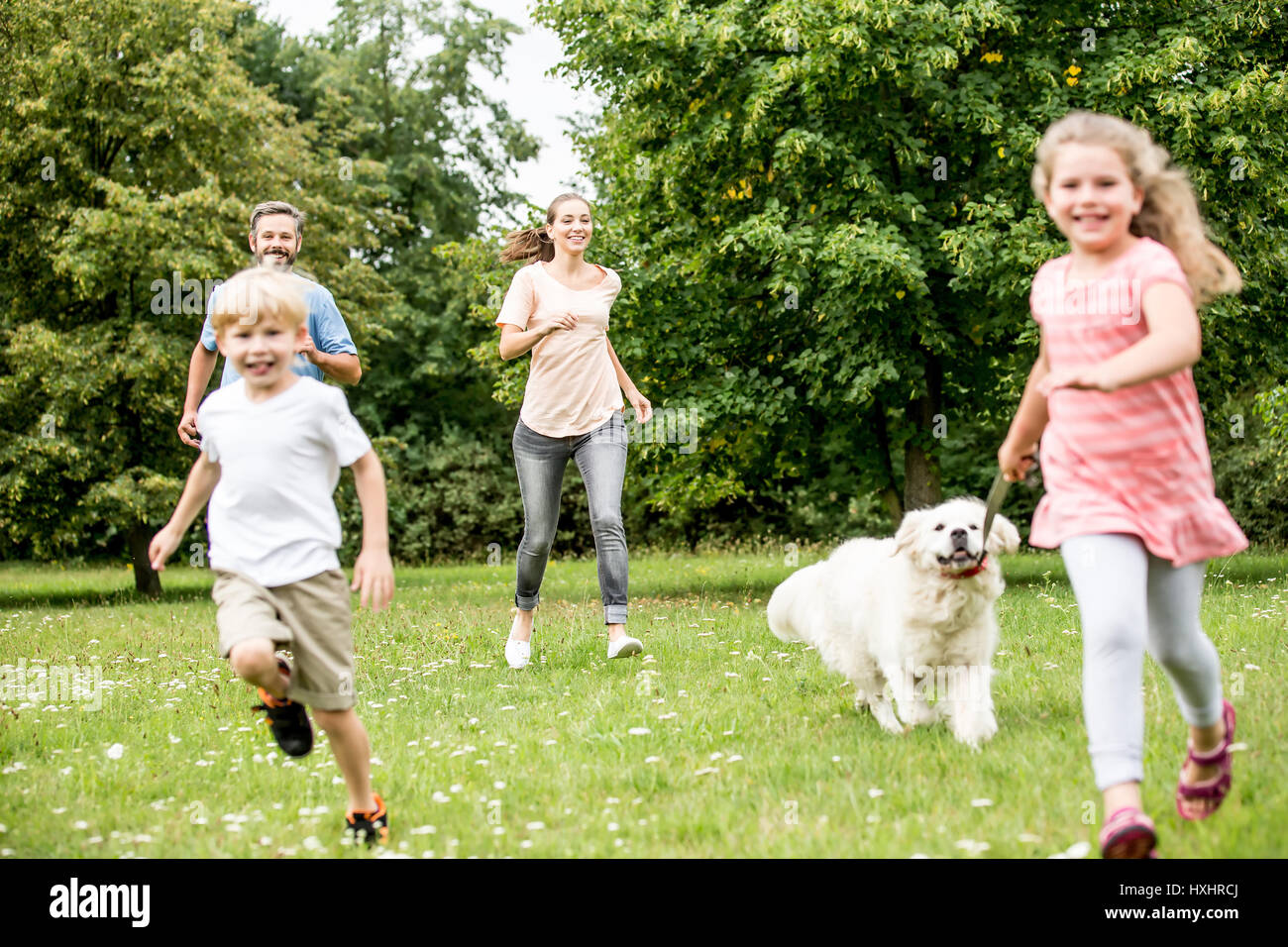 Children have fun walking dog with their family in summer Stock Photo