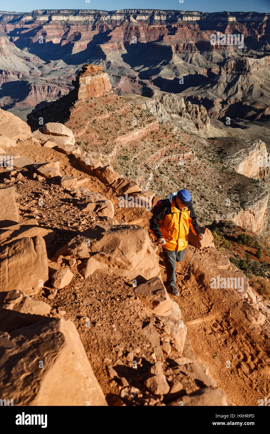 South kaibab trail hi res stock - Hiker Descending South Kaibab Trail Grand Canyon National Park Arizona HXHRPD 