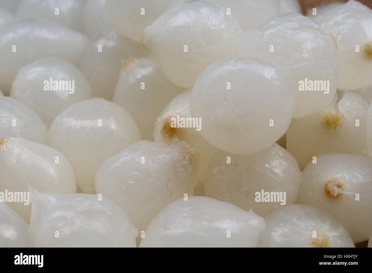 White shallots texture. Shallot onion pattern Stock Photo Alamy