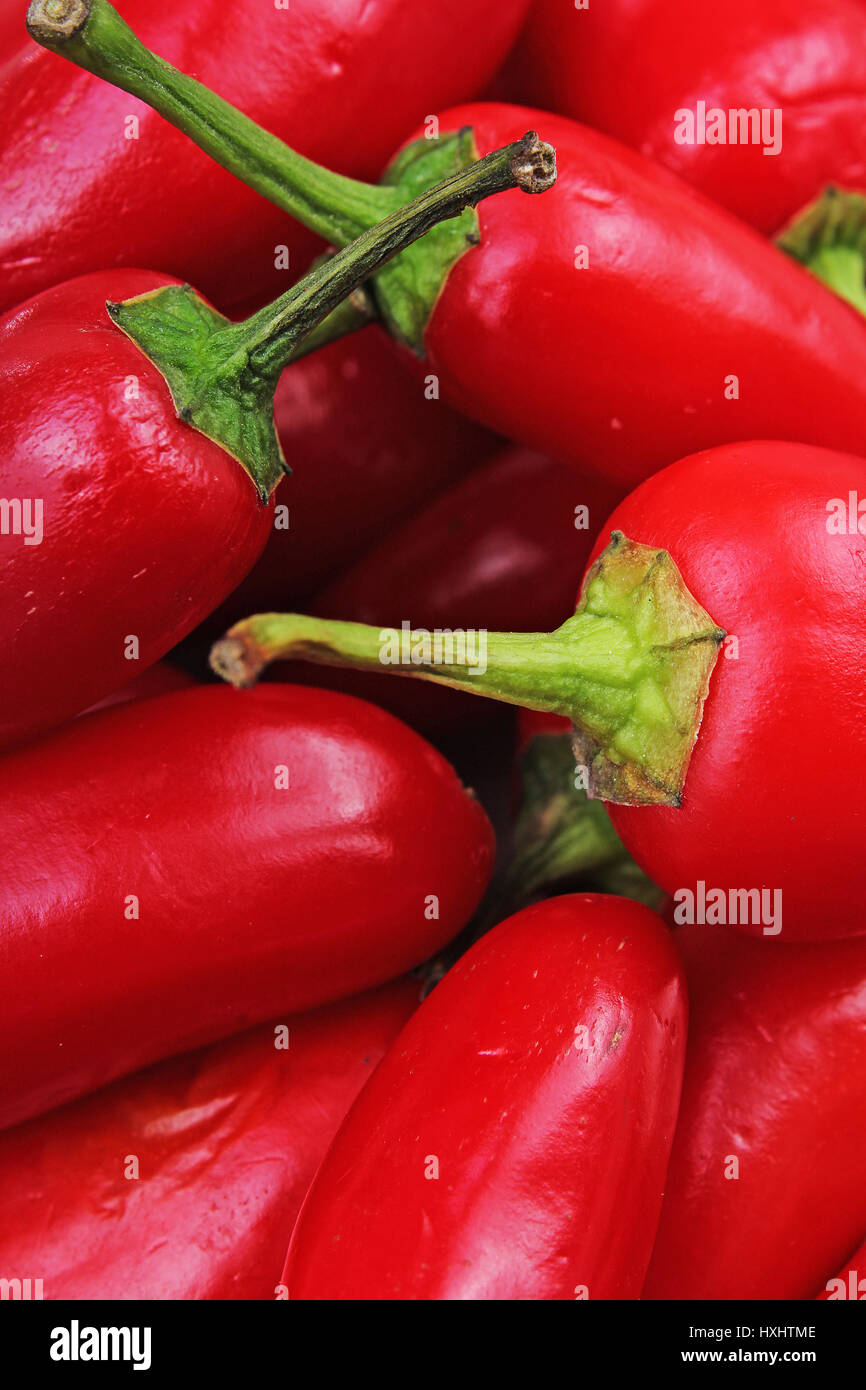 Red chili. Fresh spice vegetable. Strong hot red chili paprika pepper Stock  Photo - Alamy