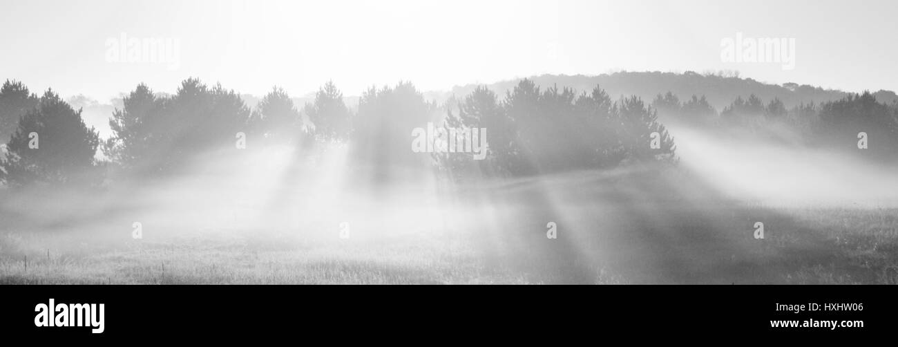 Sunrise Black and White Stock Photos & Images - Alamy