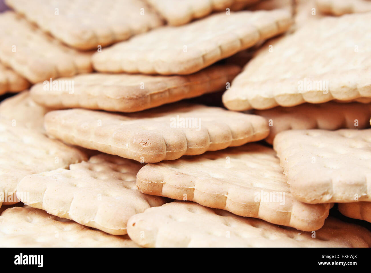 Cookies. Cookie crumpet tea biscuit pattern. Crumpets as background. Biscuits crumpet pattern texture. Chocolate coated biscuits. Stock Photo