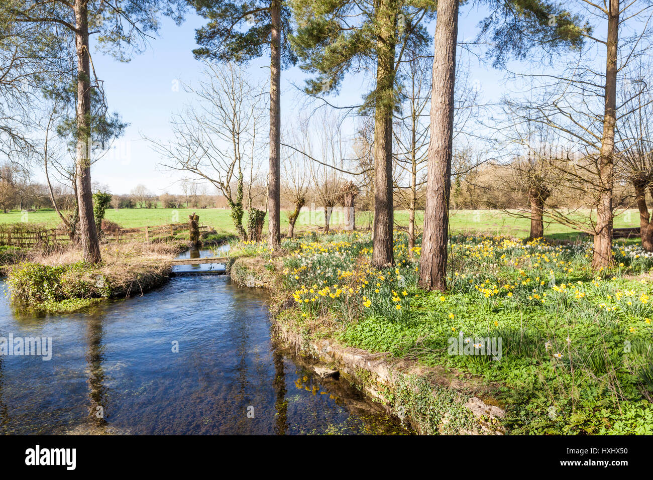 Springtime in the Cotswolds - The River Leach at Southrop, Gloucestershire UK Stock Photo