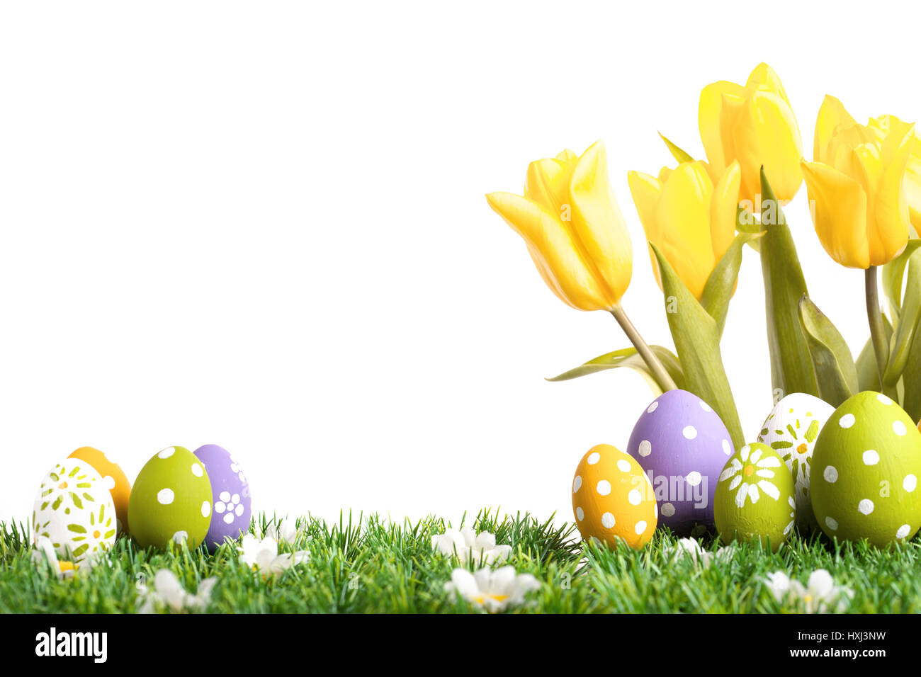Easter eggs hiding in the grass with four tulips Stock Photo