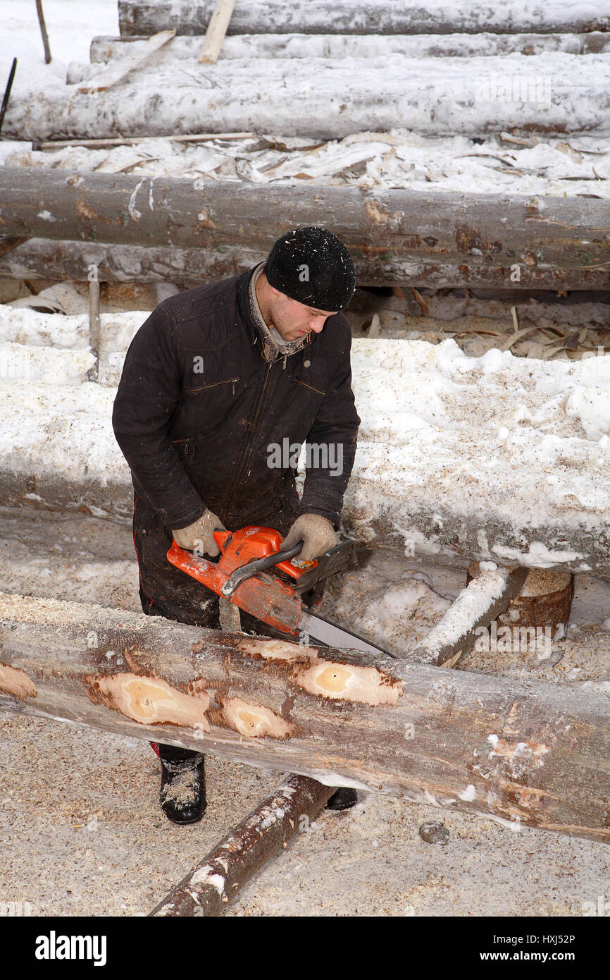 Leningrad Region, Russia - February 2, 2010: Woodman peels bark from logs, using a chainsaw. Stock Photo