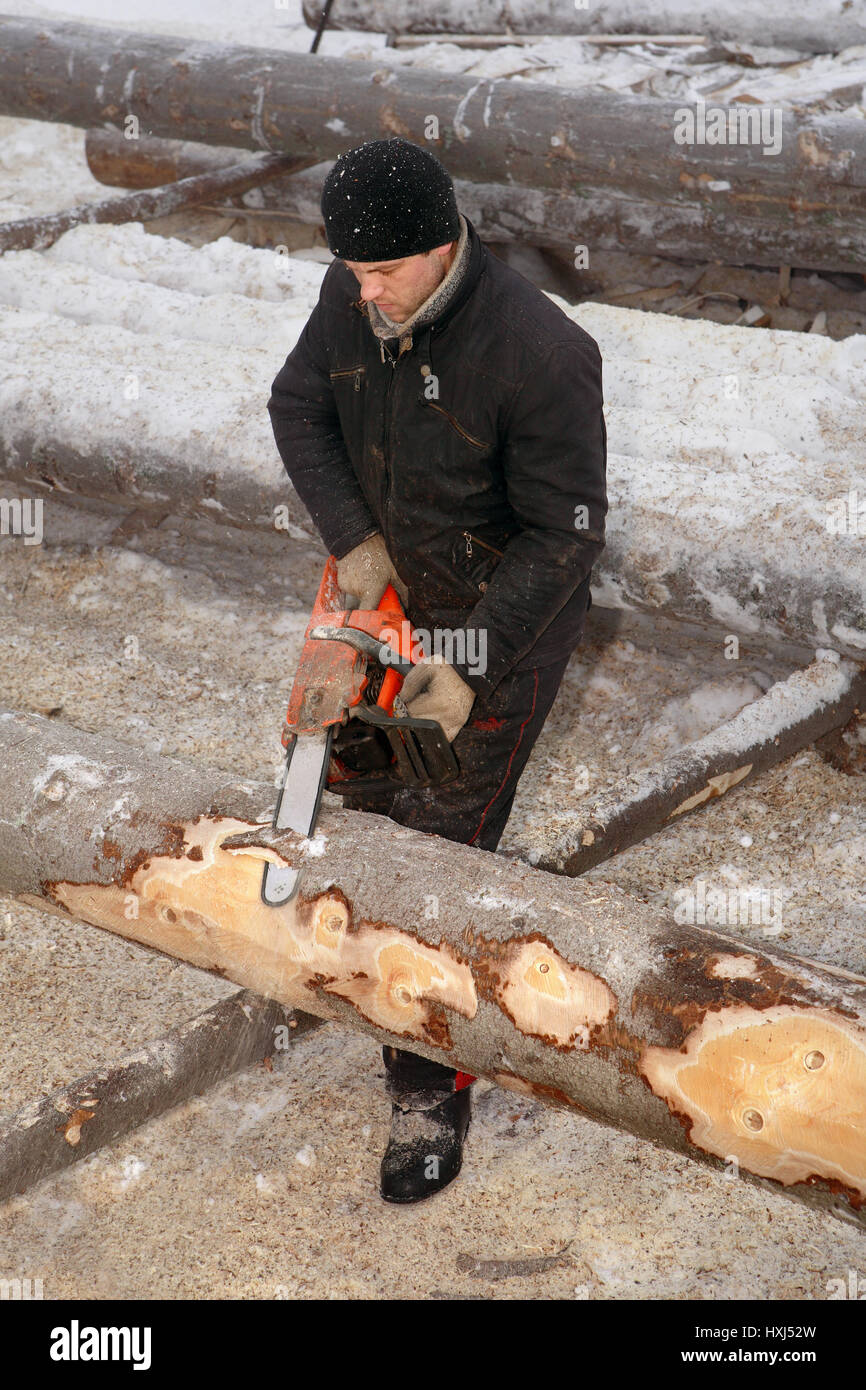Leningrad Region, Russia - February 2, 2010: Logger use chainsaw for cutting log. Stock Photo