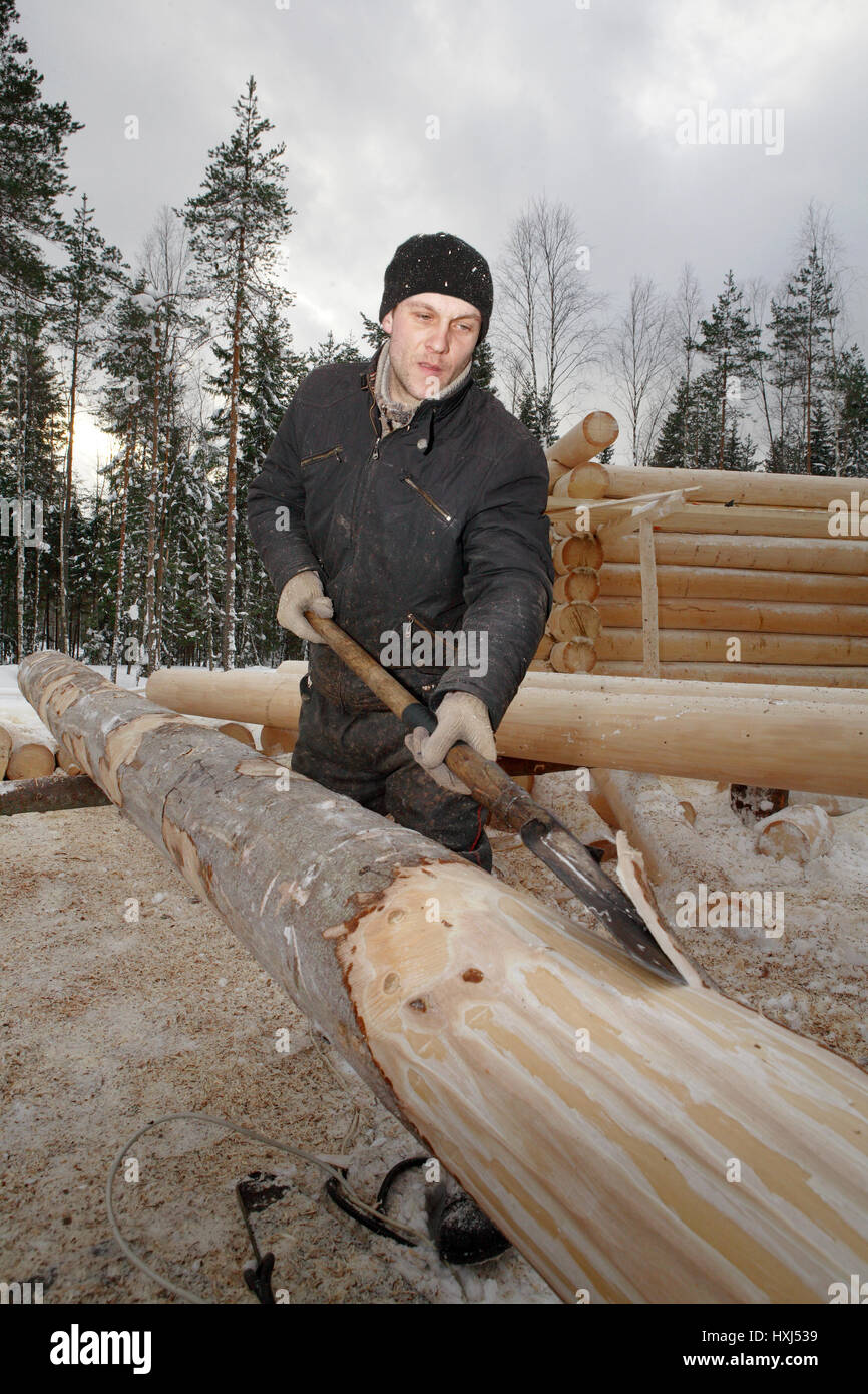 Leningrad Region, Russia - February 2, 2010: The process of peeling and debarking of wood, Worker hand peeled logs for log cabin construction. Stock Photo