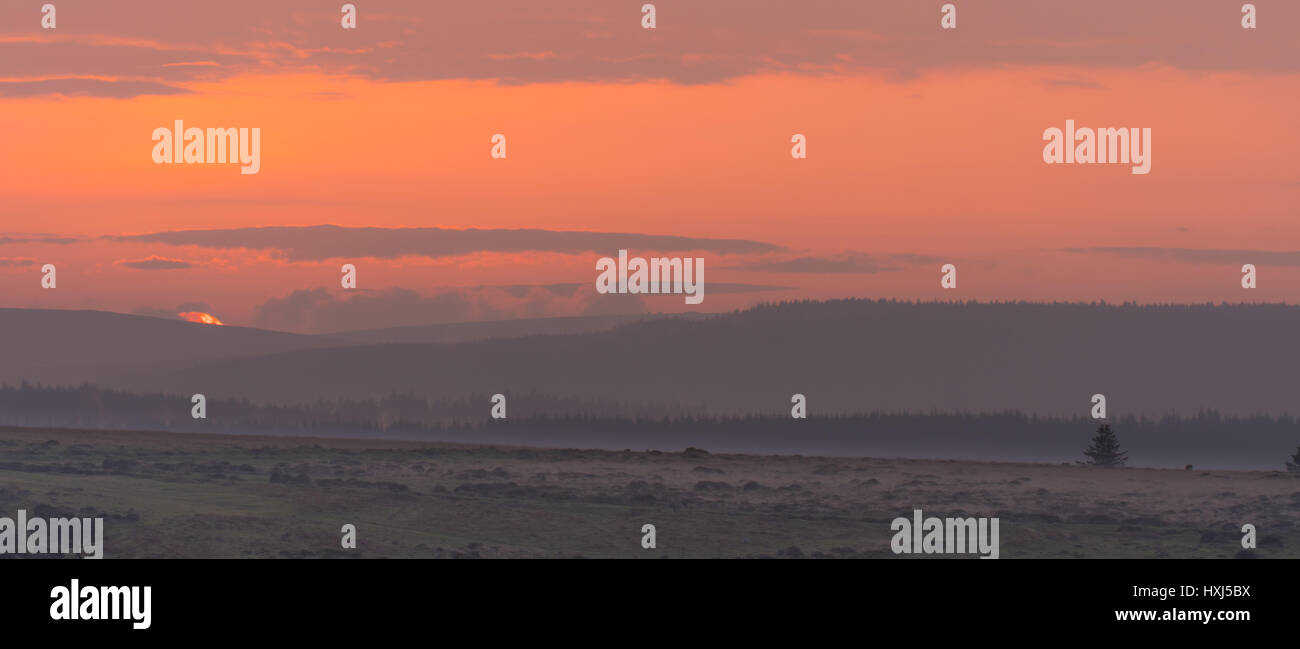 Sunset over Dartmoor National Park. Last moments of setting sun over Dartmoor Forest on misty evening in National Park in Devon, England, UK Stock Photo