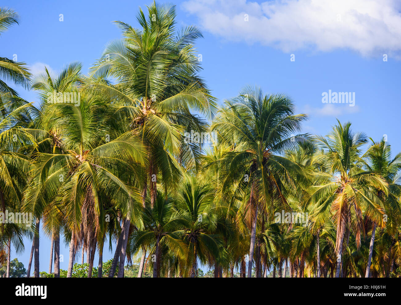 Monte Carlo. Monaco Stock Photo Alamy Monte Carlo. Monaco Stock Photo Alamy