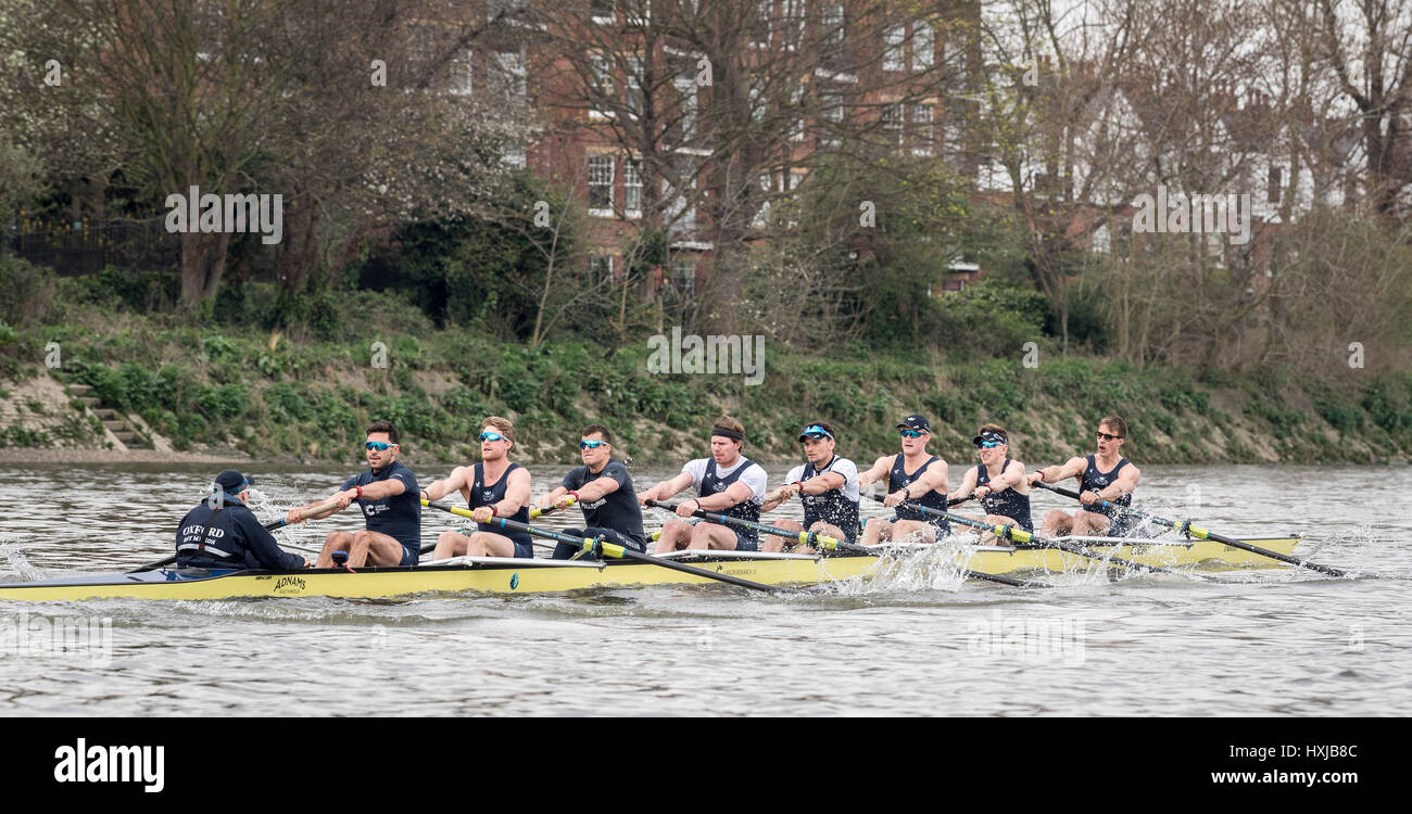 Josh bugajski hi-res stock photography and images - Alamy