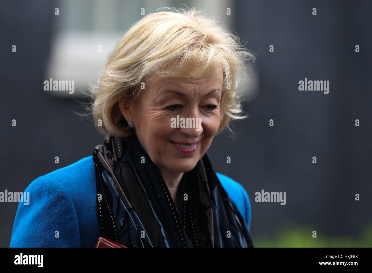 Downing Street, London, UK. 29th Mar, 2017. Andrea Leadsom Secretary of State for Environment Food and Rural Affairs leaves after the weekly Cabinet meeting at number 10 Downing street on the day the Prime Minister will will officially notify the EU of Britain's intention to leave and will make a statement to the House of Commons following the PMQs on Brexit. Credit: Dinendra Haria/Alamy Live News Stock Photo