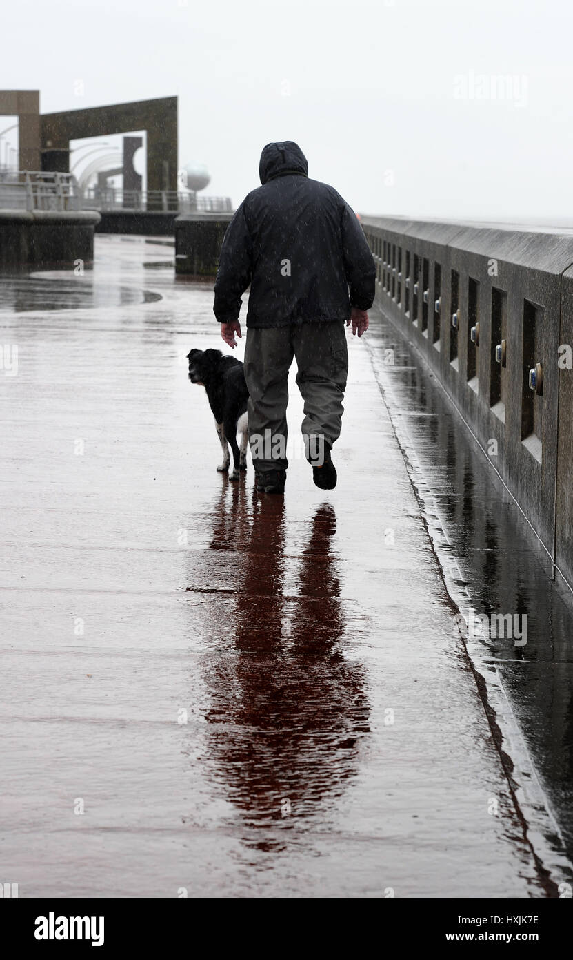 Blackpool, UK. 29th March 2017. Miserable wet weather for dog walkers on the Promenade, Blackpool, Lancashire. Picture by Paul Heyes, Wednesday March 29, 2017. Credit: Paul Heyes/Alamy Live News Stock Photo