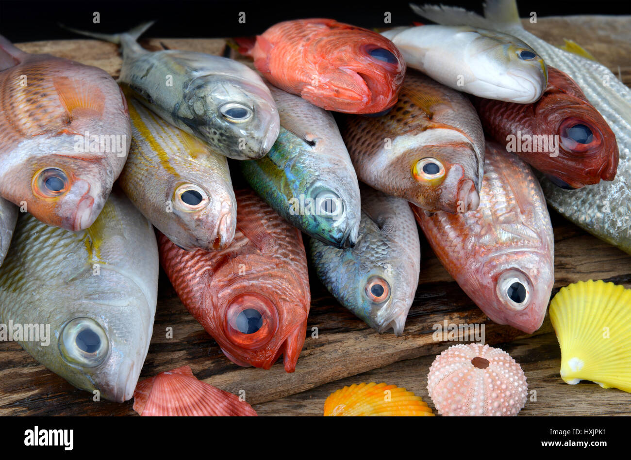 Cuisine mix hi-res stock photography and images - Alamy
