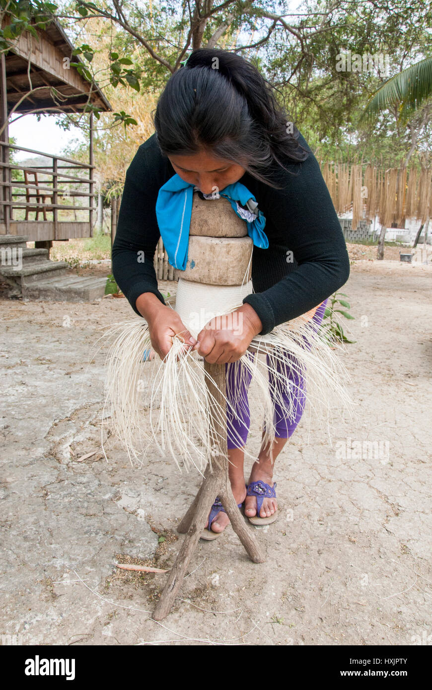 Traditional Weaving Of Ecuadorian Toquilla Straw Hats - UNESCO Intangible Cultural Heritage of Humanity Stock Photo