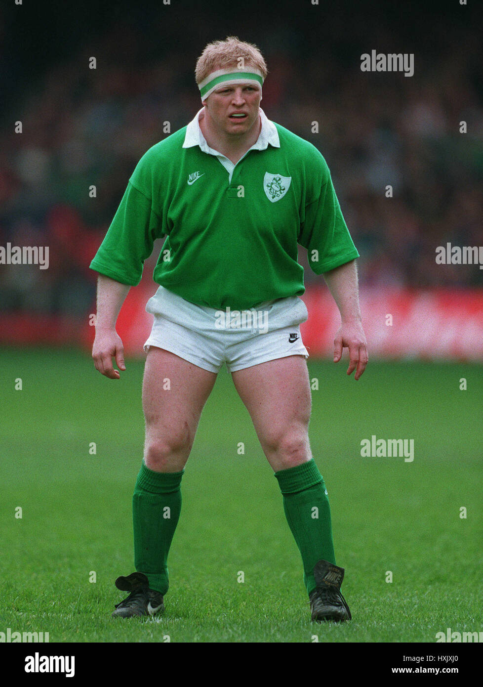 TERRY KINGSTON IRELAND & DOLPHIN RU 21 March 1995 Stock Photo Alamy