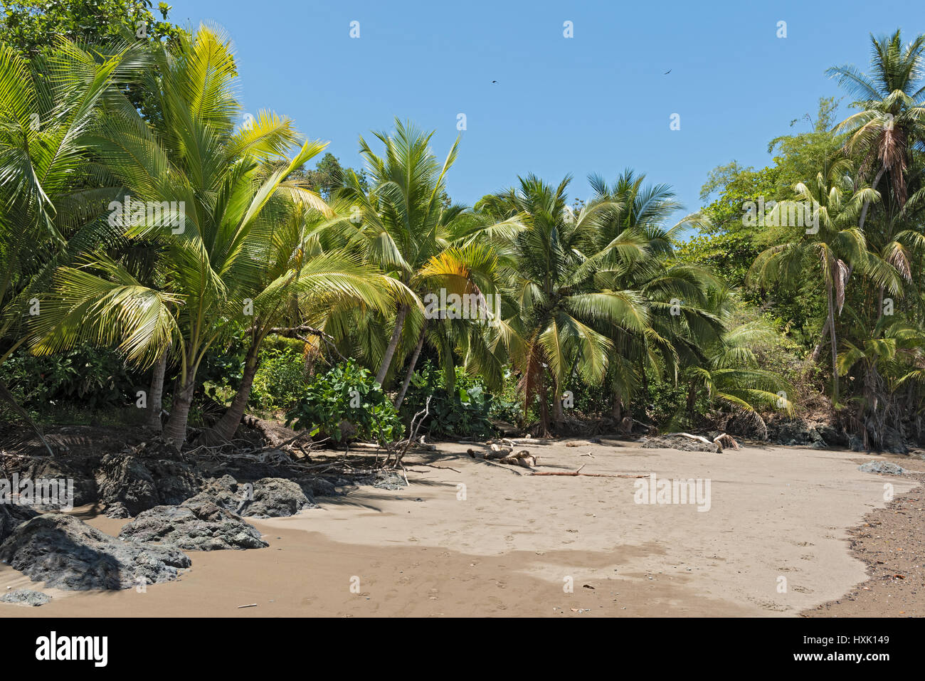 Beautiful beach at Drake Bay on the Pacific Ocean in Costa Rica Stock Photo