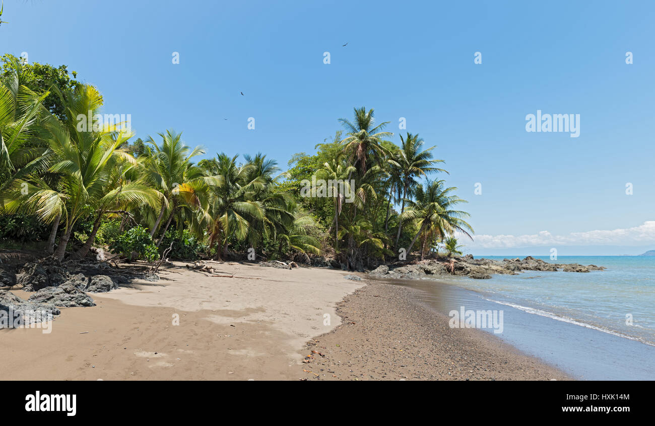Beautiful beach at Drake Bay on the Pacific Ocean in Costa Rica Stock Photo