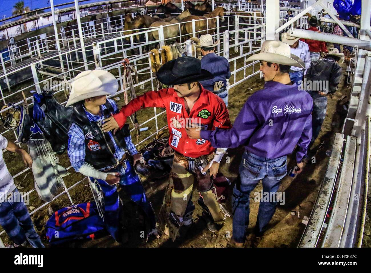 Mexican vaquero chihuahua hi-res stock photography and images - Alamy